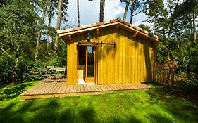 Cabane forêt proche plage